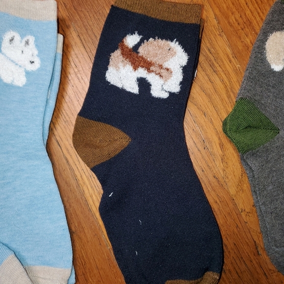 Cute Dog Socks set of 4 - Picture 5 of 7